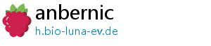 anbernic