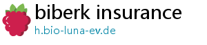 biberk insurance