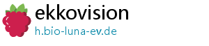 ekkovision