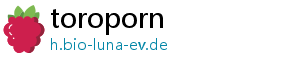 toroporn