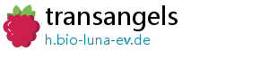 transangels